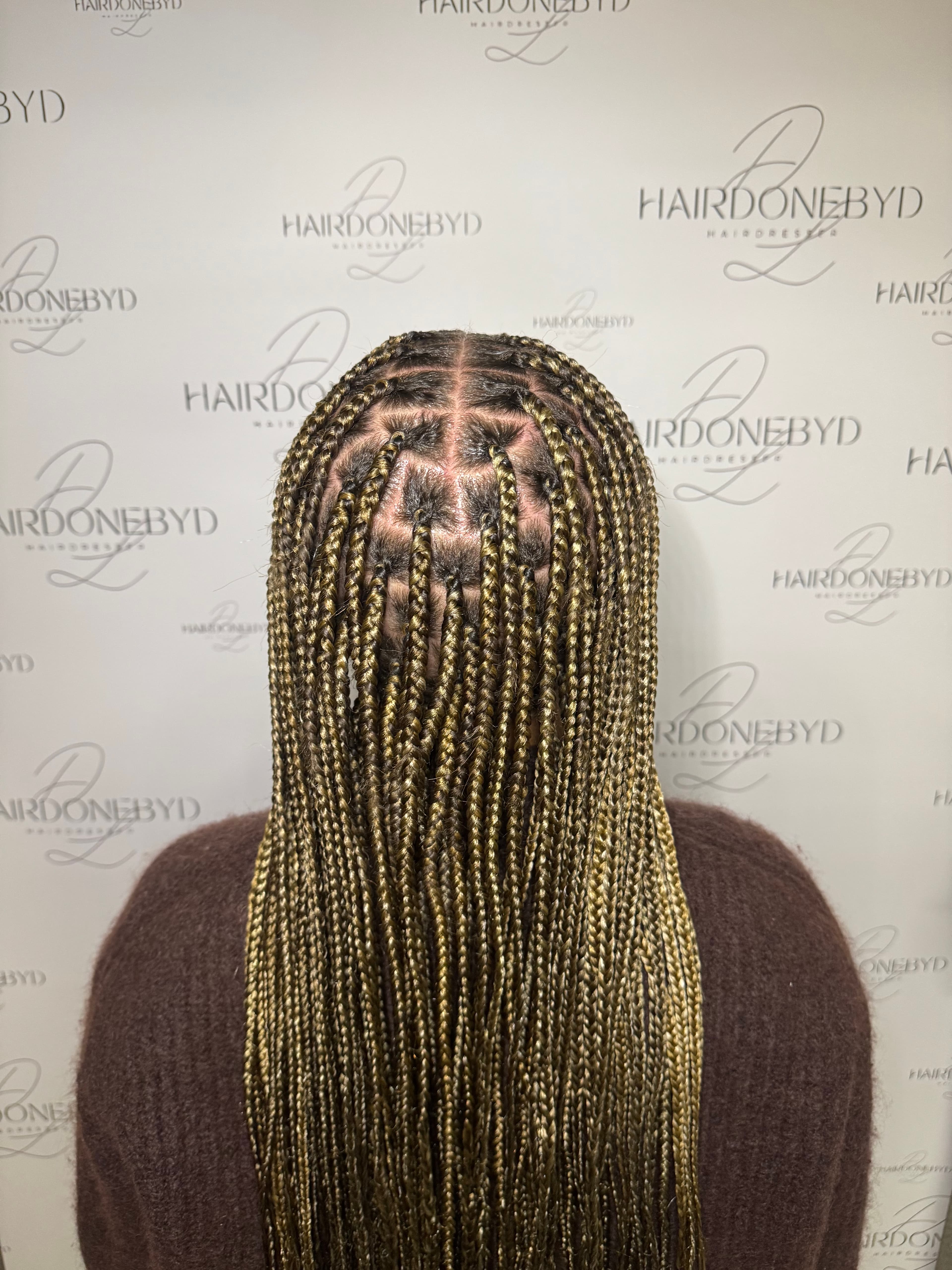 Knotless Braids