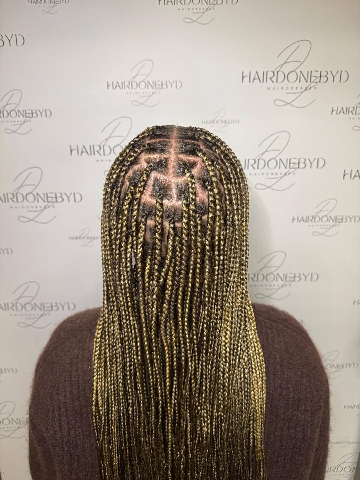 Knotless Braids